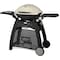 Weber Q 3000 Titanium gasgrill