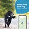 Tractive DOG LTE GPS tracker til hund