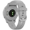 Garmin Venu 2S AMOLED smartwatch (mist grey)