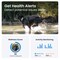 Tractive DOG XL Adventure Edition GPS tracker til hund