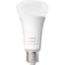 Philips Hue WA 13,5W A67 E27