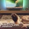 Philips TAB5109 Soundbar 2.0