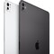 iPad Pro 13" M4 256GB WiFi + 5G (Space Black)