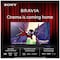 Sony 65” Bravia 7 4K MiniLED smart TV (2024)