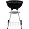 Mustang Kolgrill 43CM Basic