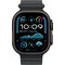 Apple Watch Ultra 2 49mm GPS+CEL (Black Titanium/Black Ocean Band)