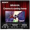 Sony 65” Bravia 9 4K Mini-LED smart TV (2024)